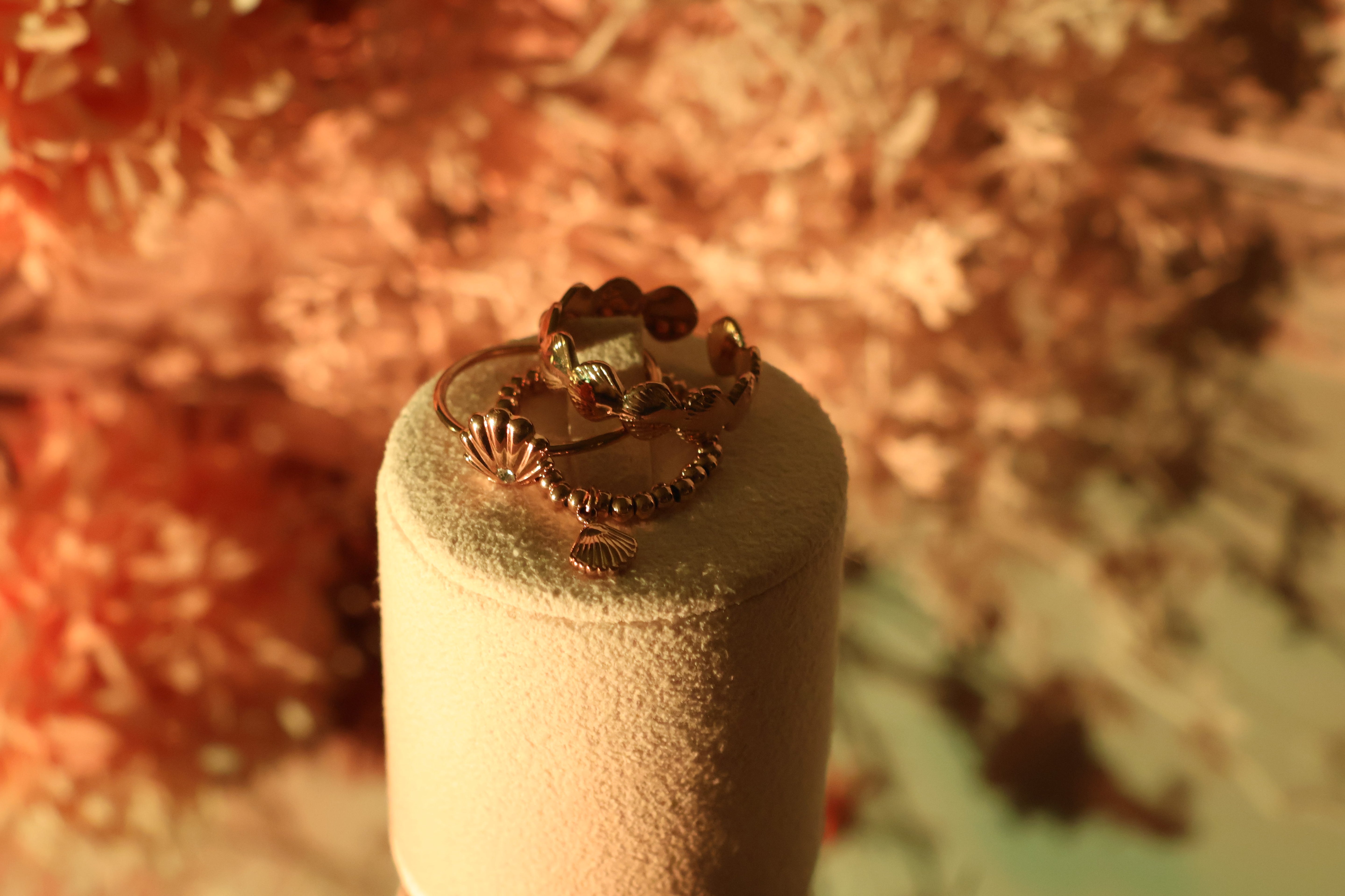 Ring | See the shell