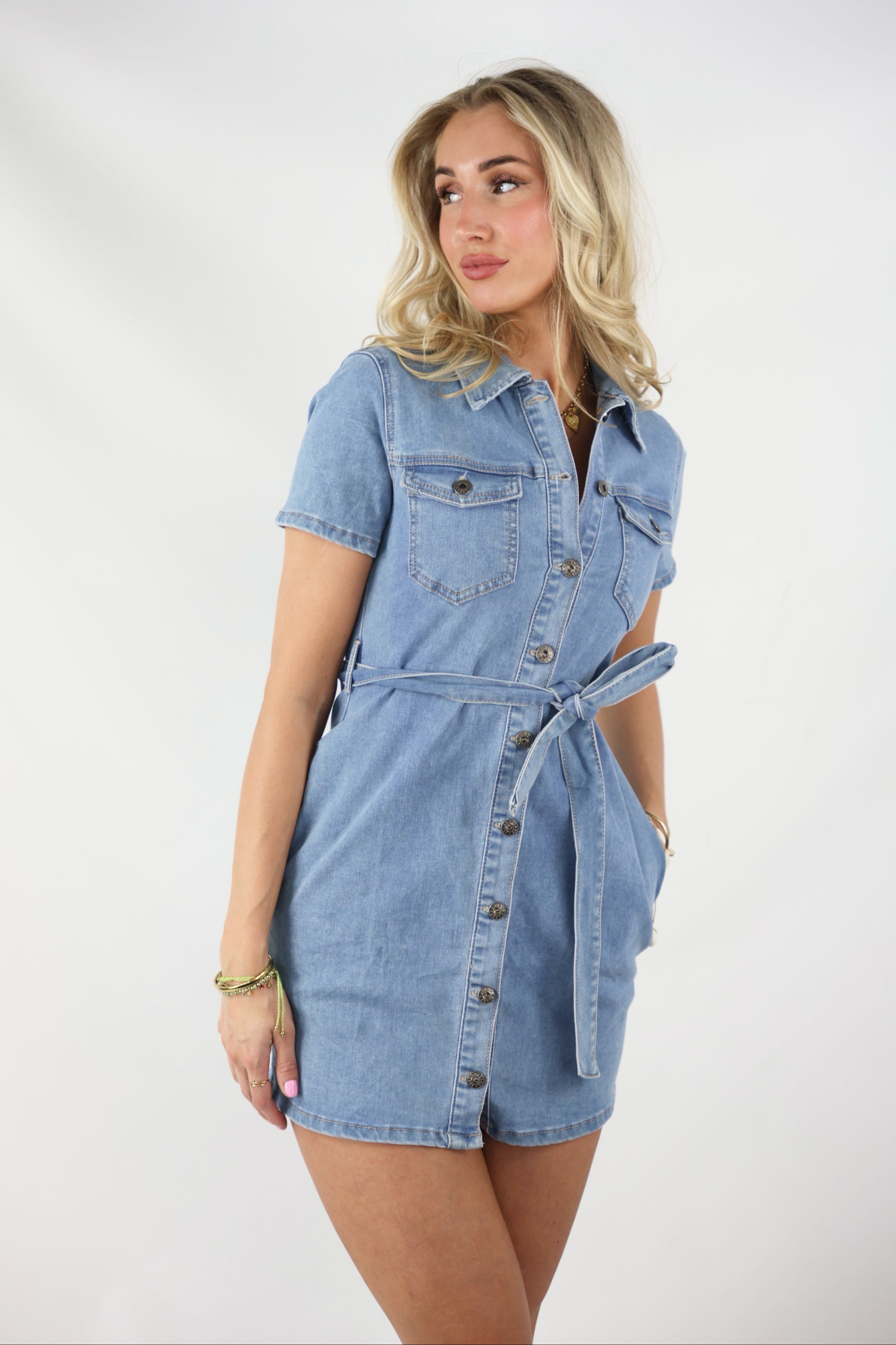 Denim Dress | June